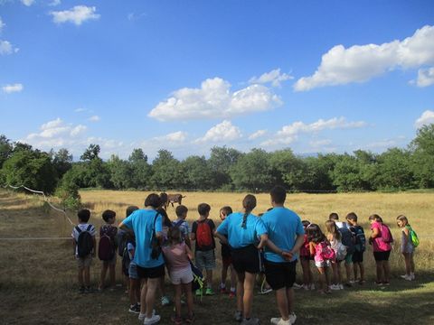 Activitats