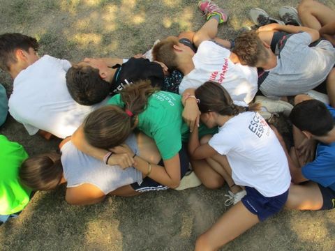 Activitats