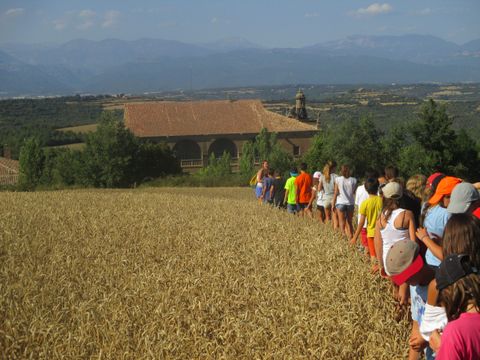 Colònies escolars